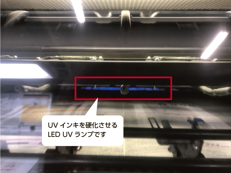 UVランプ