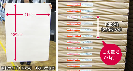 原紙サイズ：四六判1枚の大きさ 1,000枚で73kg